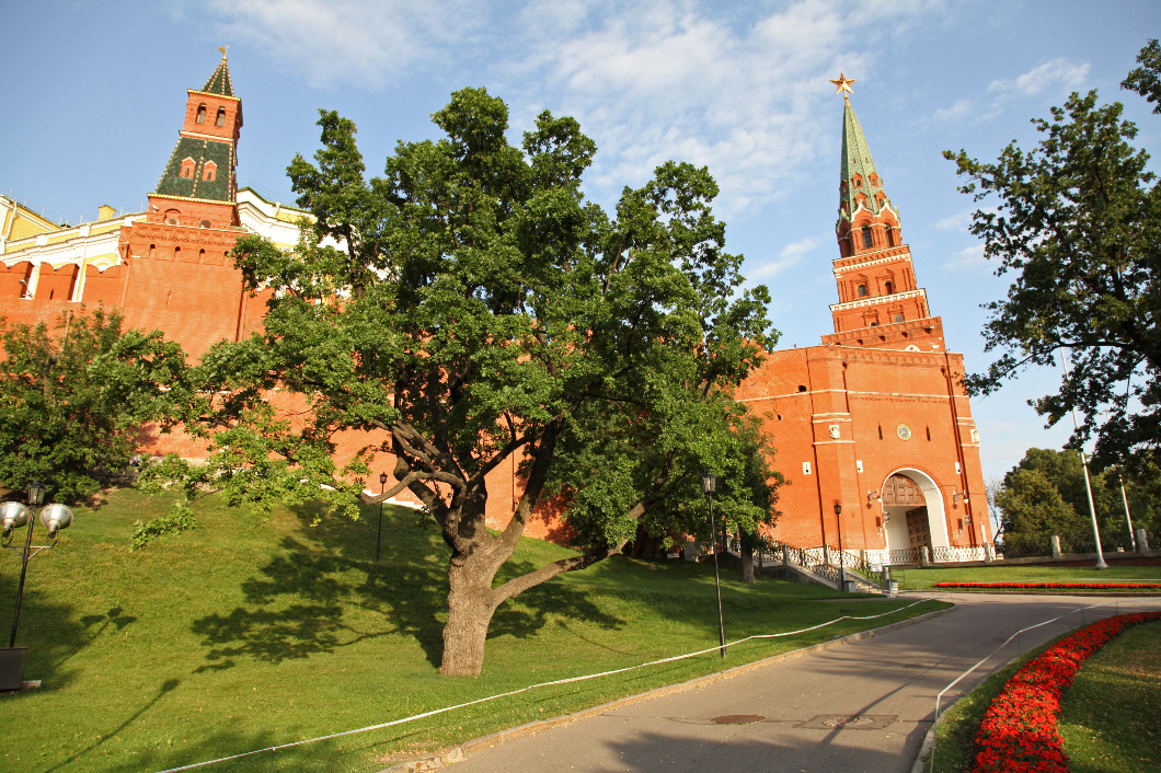 Боровицкий холм фото