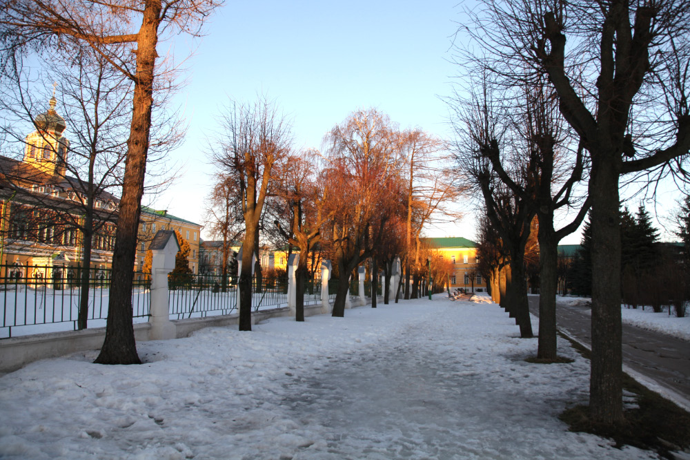 trees and Царские Чертоги — Московская Духовная Академия и Московская Духовная семинария